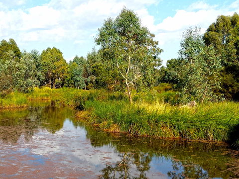 Mansfield Mullum Wetlands - Attractions Sydney 0