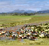 Marlborough - Attractions Sydney