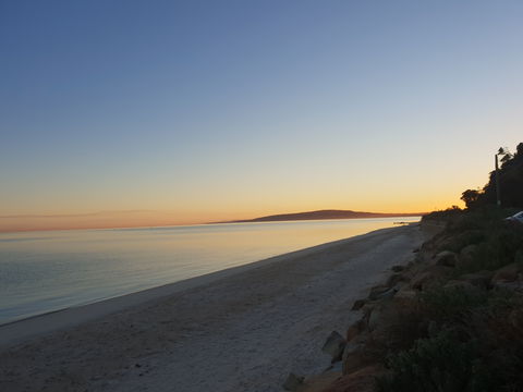 McCrae Beach - Attractions Sydney 0