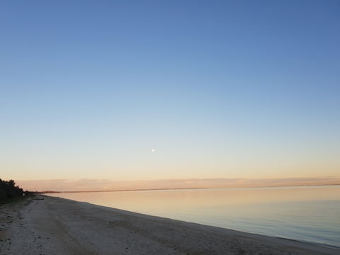 McCrae Beach - Attractions Sydney 2