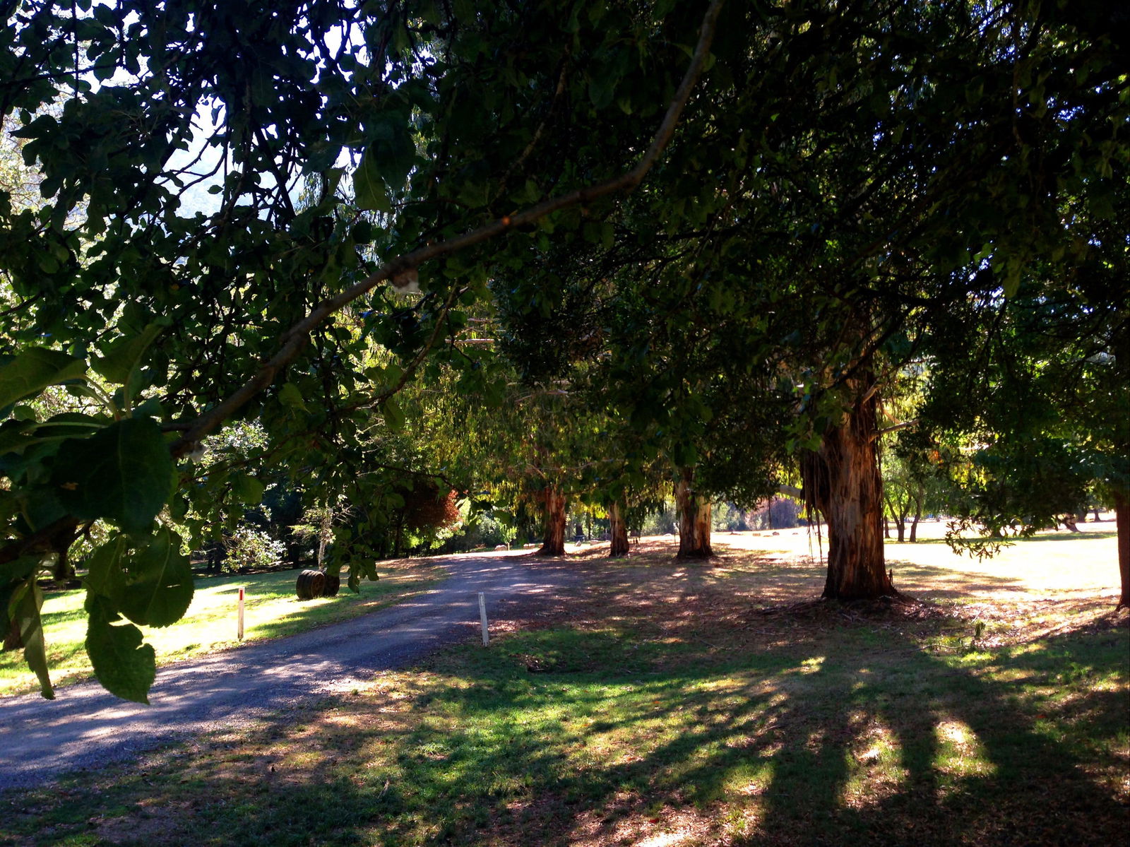 Mirimbah VIC Attractions Sydney