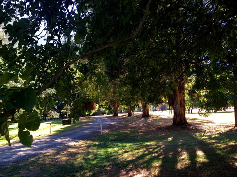 Mirimbah Park - Attractions Sydney 0