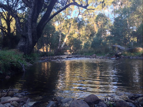 Mirimbah Park - Attractions Sydney 2