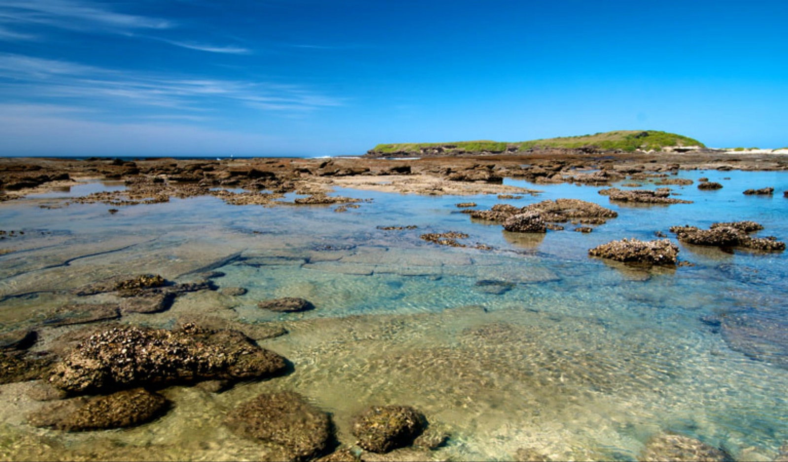 North Wyong NSW Attractions Sydney