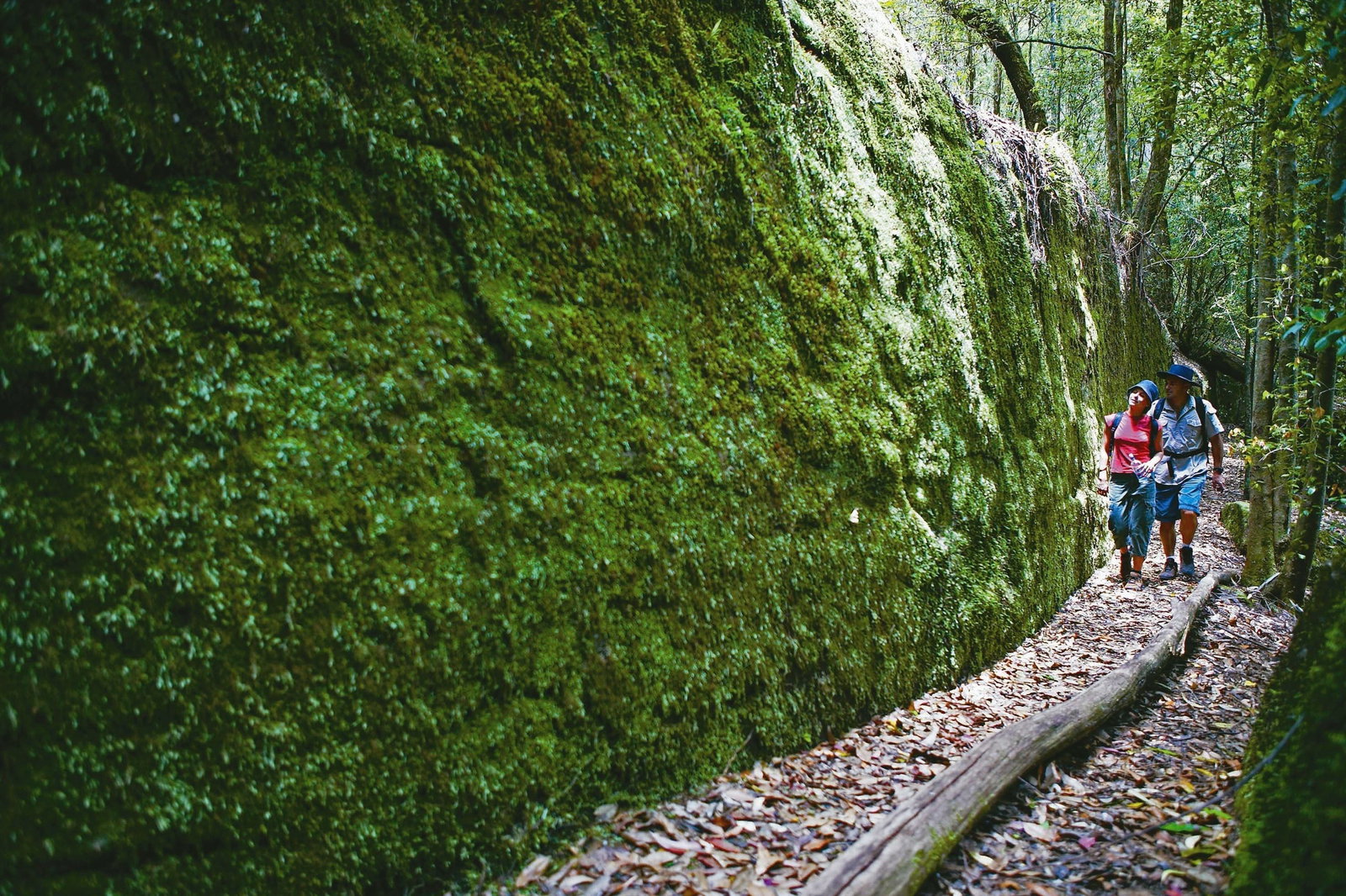 Morisset NSW Attractions Sydney