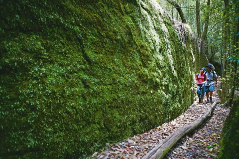 Morisset - Attractions Sydney 0