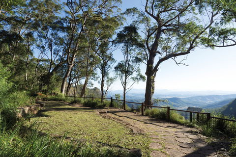 Morans Falls Track, Lamington National Park - Attractions Sydney 1