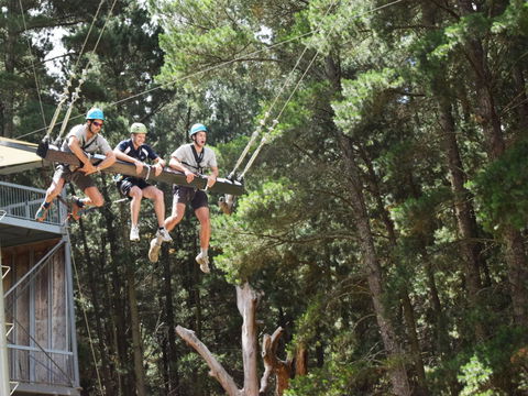 Mount Lofty Adventure Hub - Attractions Sydney 1