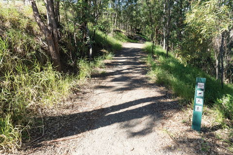 Mt Coot-tha Tourist Drive - Attractions Sydney 2