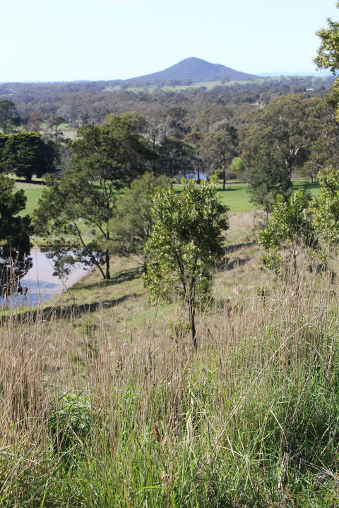 Mt Piper Nature Conservation Reserve - Attractions Sydney 1