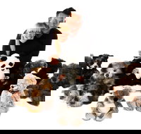 Nanas Teddies and Toys - Attractions Sydney