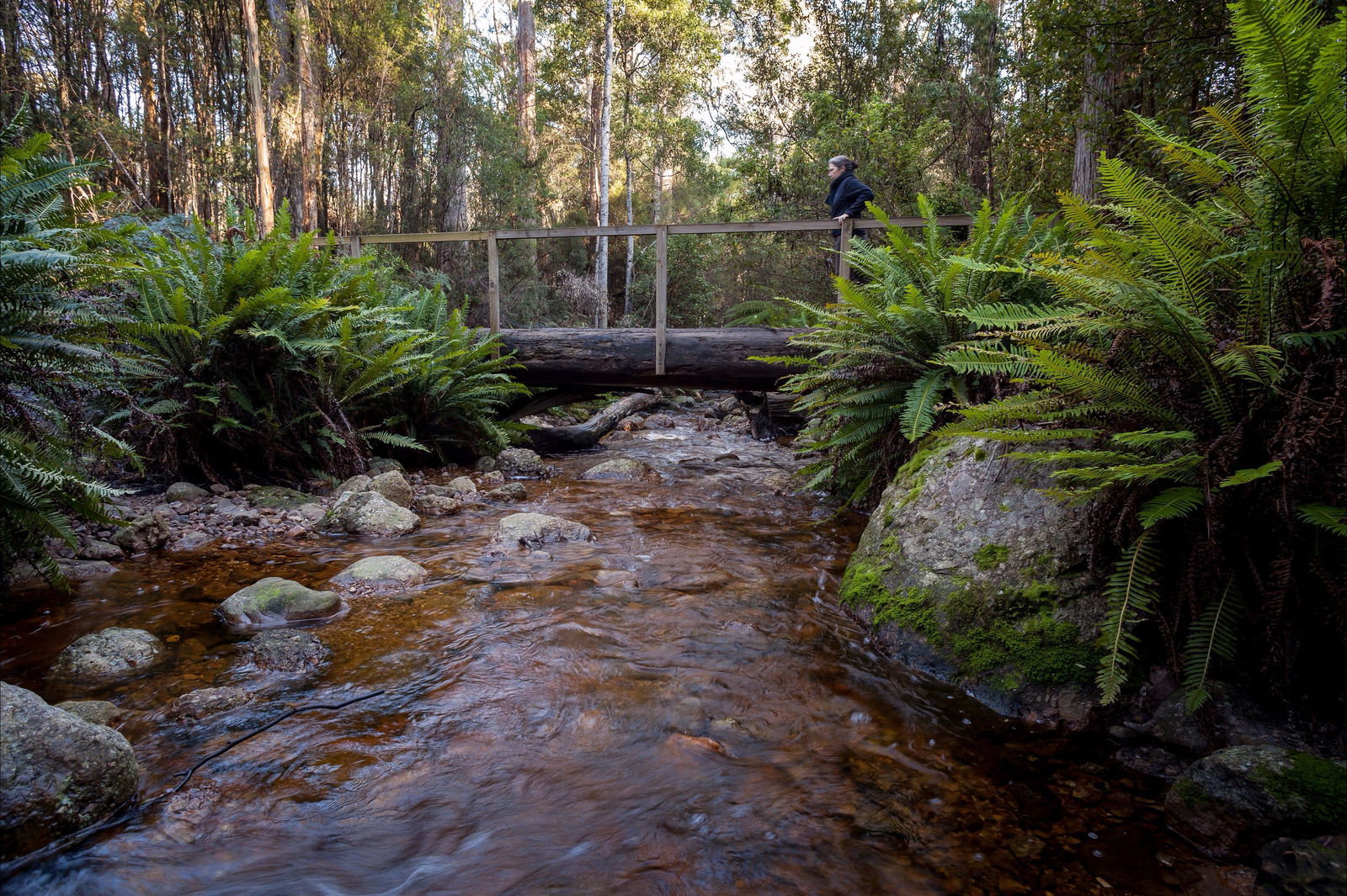 Gowrie Park TAS Attractions Sydney