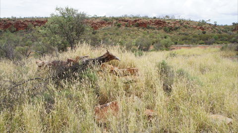 Original Glen Helen Homestead - Attractions Sydney 1