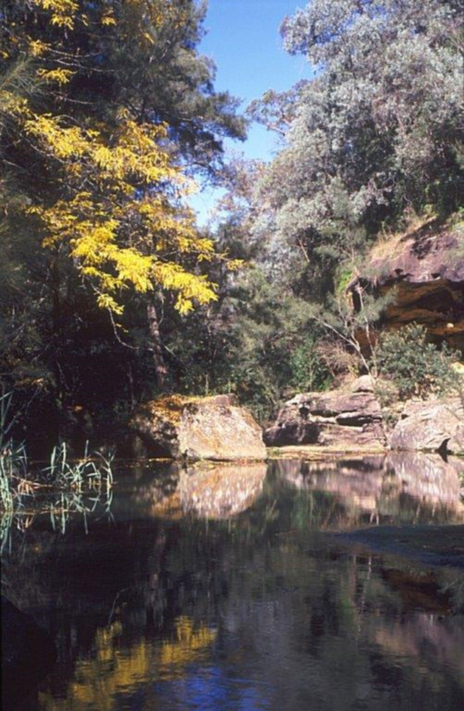 Pheasants Nest NSW Attractions Sydney