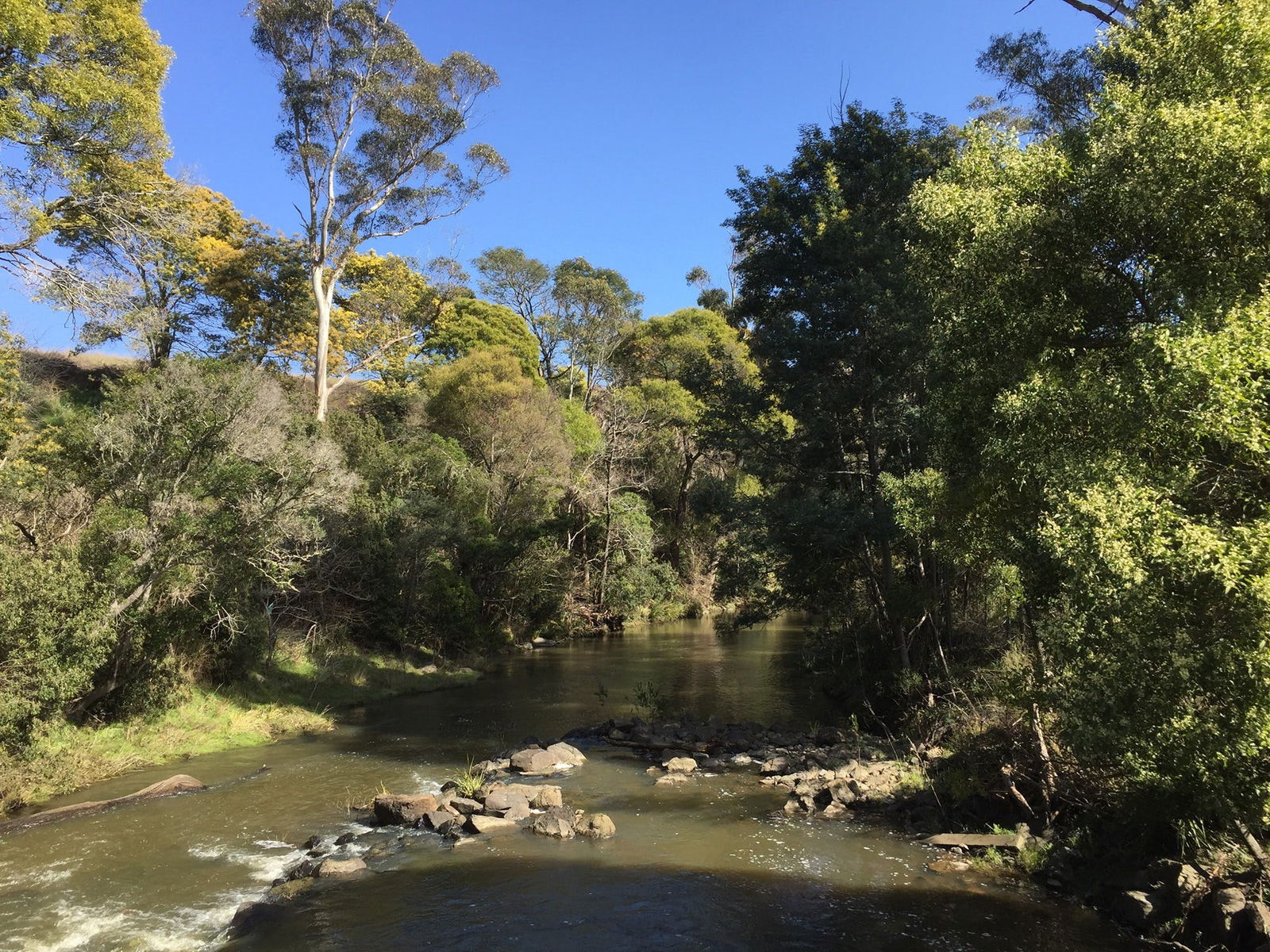 Pipers River TAS Attractions Sydney