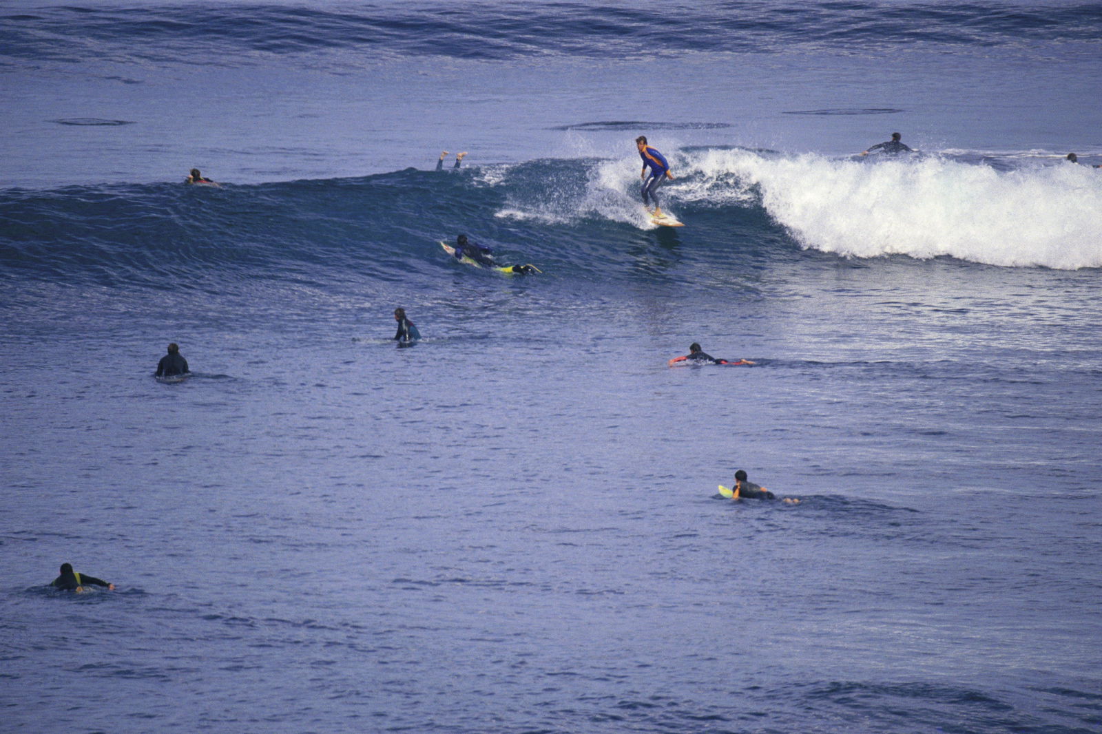 Bells Beach VIC Attractions Sydney
