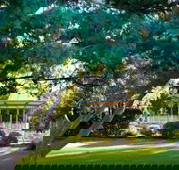 Robertson Park - Attractions Sydney