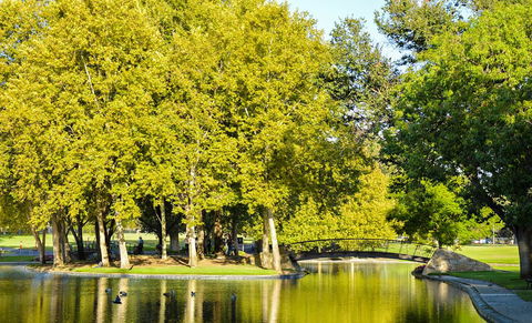 Rymill Park/Murlawirrapurka - Attractions Sydney 0