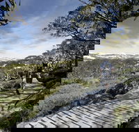 Snow Gums boardwalk - Attractions Sydney