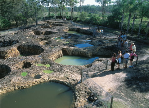 South Kolan - Attractions Sydney 0