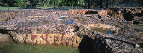 South Kolan - Attractions Sydney 1