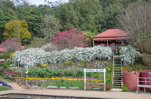 Spring Bluff Railway Station - Attractions Sydney 1