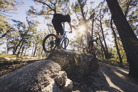 St Helens Mountain Bike Trails - Attractions Sydney 1
