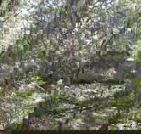 Tallaganda National Park - Attractions Sydney