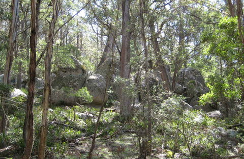 Tallaganda National Park - Attractions Sydney 0