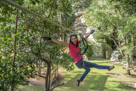 The Grotto Walk - North Nowra - Attractions Sydney 2