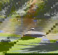 The Lions Junction Park - Tumut - Attractions Sydney