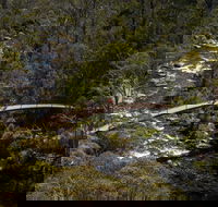 Thredbo Valley Track - Attractions Sydney