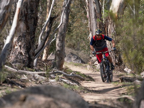 Thredbo Valley Track - Attractions Sydney 2