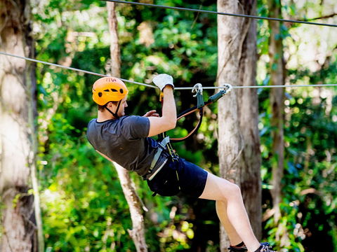 TreeTop Challenge Currumbin Wildlife Sanctuary - Attractions Sydney 0