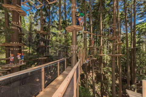 TreeTops Sydney The Hills - Attractions Sydney 0