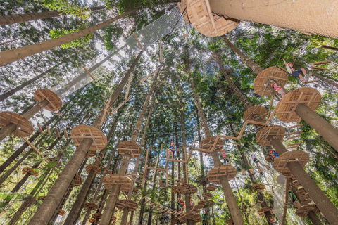 TreeTops Sydney The Hills - Attractions Sydney 1