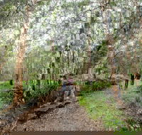 Venman Bushland National Park - Attractions Sydney