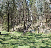 Wallaby Walking Track - Attractions Sydney