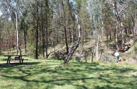 Wallaby Walking Track - Attractions Sydney 0
