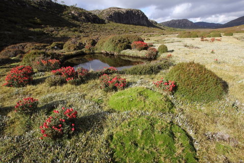 Walls Of Jerusalem National Park - Attractions Sydney 1