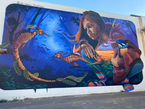 Walk The Walls Cronulla Street Art Trail - Attractions Sydney 0