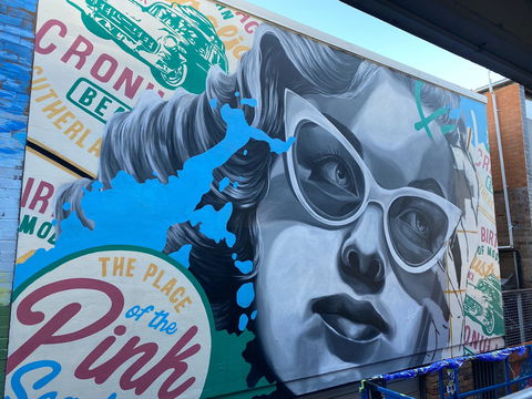 Walk The Walls Cronulla Street Art Trail - Attractions Sydney 2