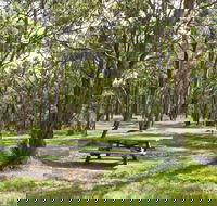 Wollomombi Gorge and Falls Picnic Area - Attractions Sydney