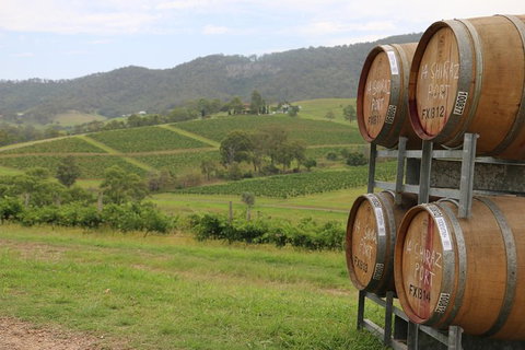 Hunter Valley Wine Tour Ex Pokolbin With Lunch, Cheese, Chocolate And Distillery - Attractions Sydney 1