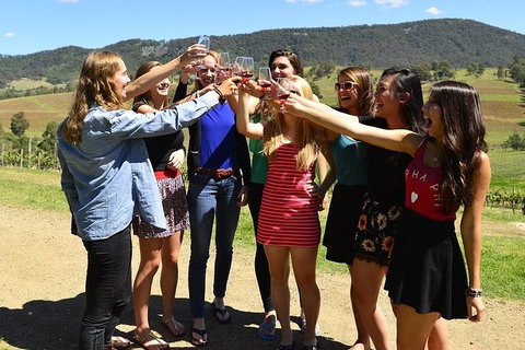 Hunter Valley Wine Tour Ex Pokolbin With Lunch, Cheese, Chocolate And Distillery - Attractions Sydney 0