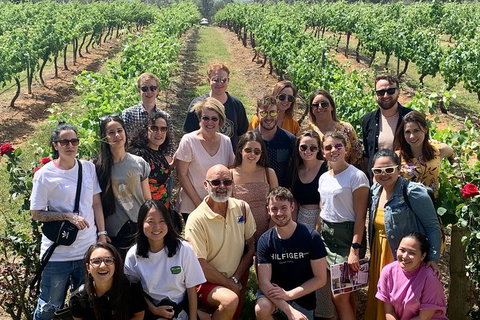 Hunter Valley Wine Tour Ex Pokolbin With Lunch, Cheese, Chocolate And Distillery - Attractions Sydney 14