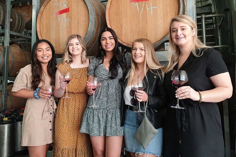 Hunter Valley Wine Tour From The Hunter With Wine Craft Beer Cheese Chocolate - Attractions Sydney 1