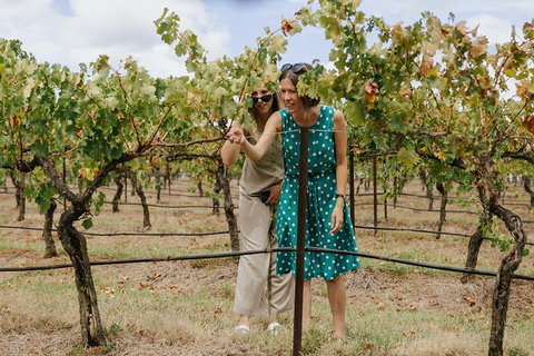 Lovedale & North Pokolbin, Hunter Valley Hop-On And Hop-off Bus Tour - Attractions Sydney 4