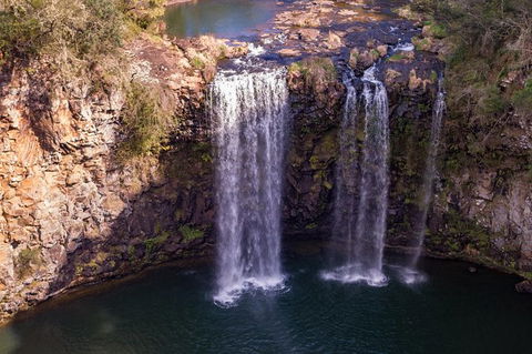 Rainforest & Waterfall Experience - Attractions Sydney 1