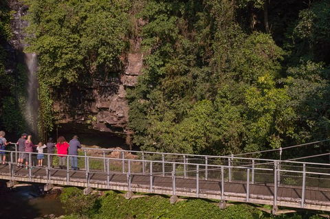 Rainforest & Waterfall Experience - Attractions Sydney 4
